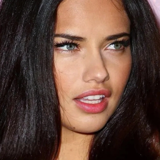 elegant adriana lima pfp 