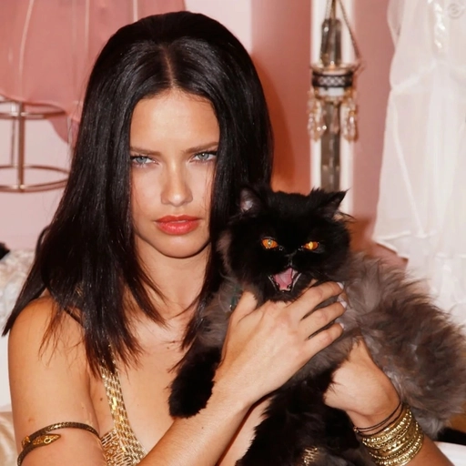 adriana lima aesthetic instagram pfp 