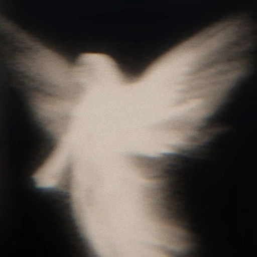 aesthetic angel anime pfp dreamy style