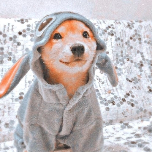 aesthetic preppy pfp chic