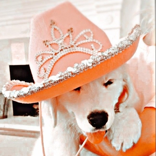 trendy preppy aesthetic pfp for social media