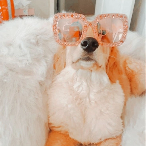 pink aesthetic preppy pfp for tiktok