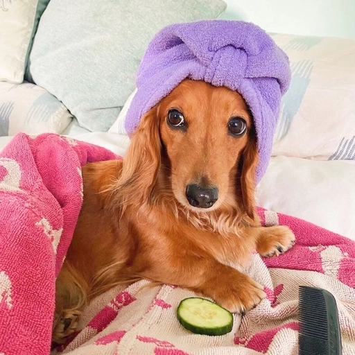 aesthetic preppy pfp wallpaper