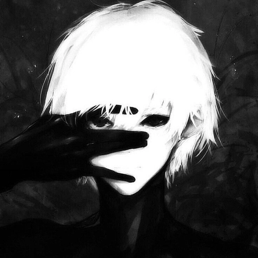 aesthetic black and white anime pfp hd