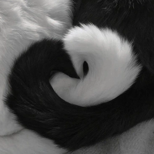 black and white aesthetic pfp