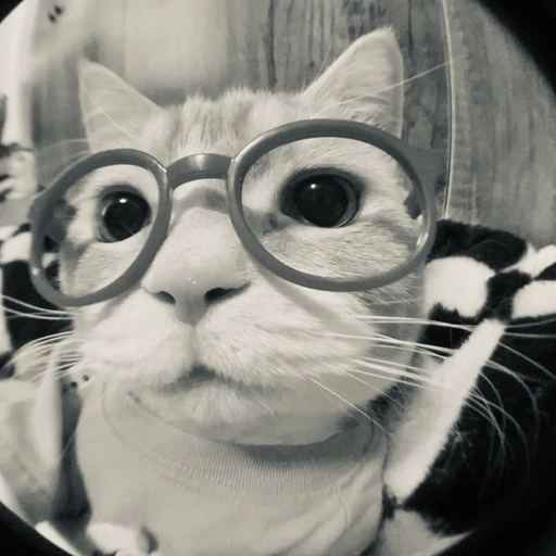 aesthetic black and white pfp pic