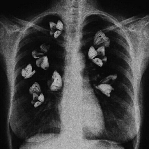 black and white pfp minimal style