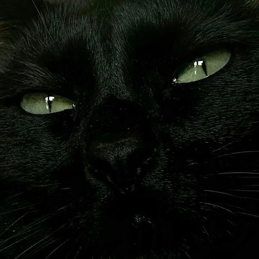 black aesthetic pfp simple design