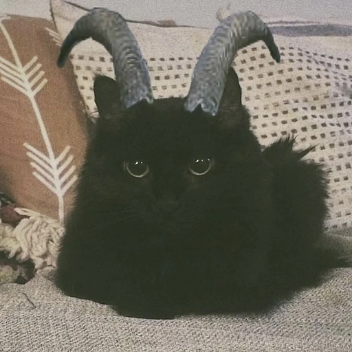 aesthetic black pfp cute style