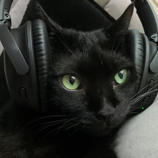 aesthetic pfp black cartoon style