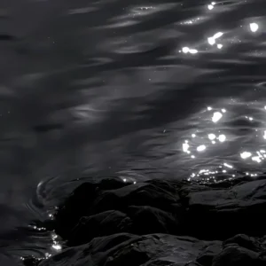 pfp black aesthetic chic profile picture