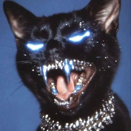 aesthetic mysterious cat pfp