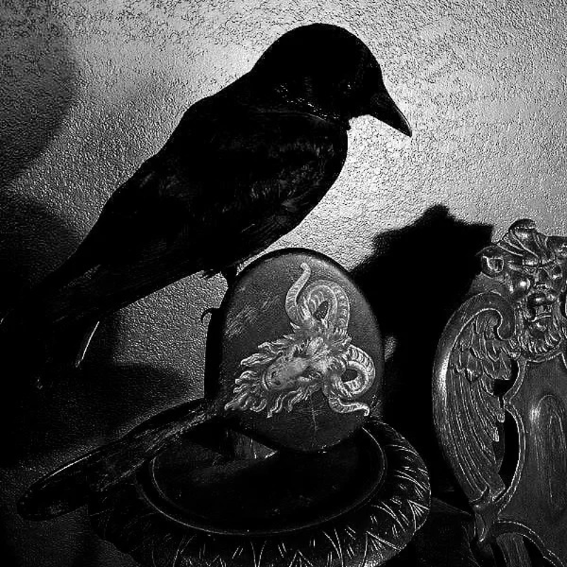 dark artistic aesthetic avatar for discord