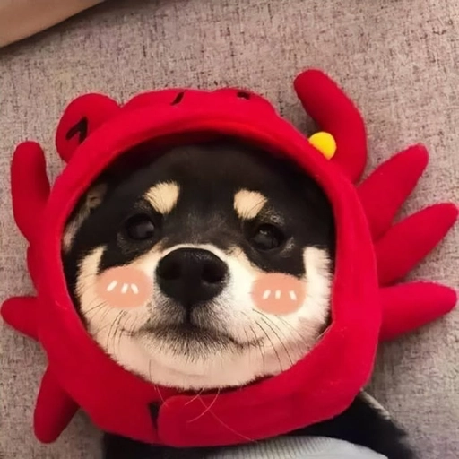 pfp dog cartoon icon