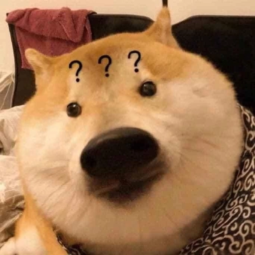 dog pfp minimalist art style