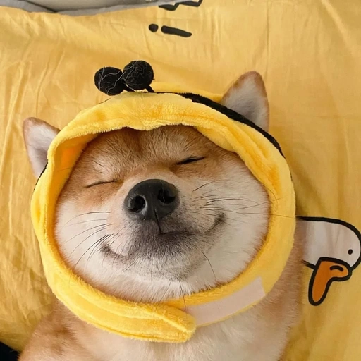 dog pfp cute kawaii sticker style