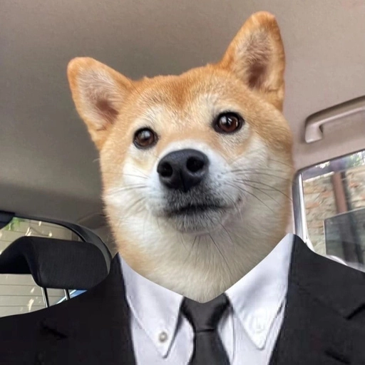funny dog pfp for discord