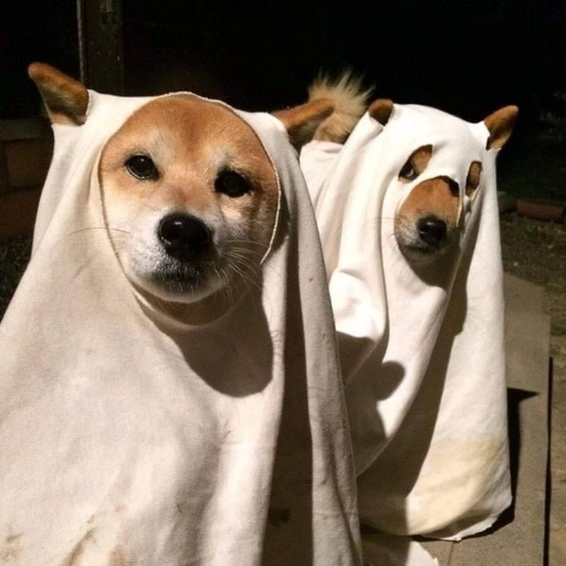 dog pfp modern digital