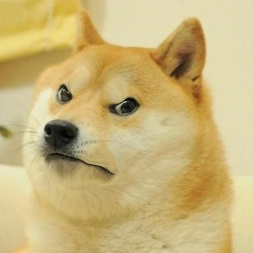 pfp dog graffiti style vibe