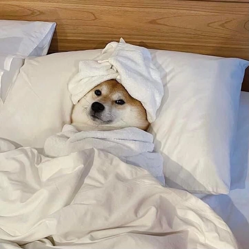 dog pfp cute cartoon