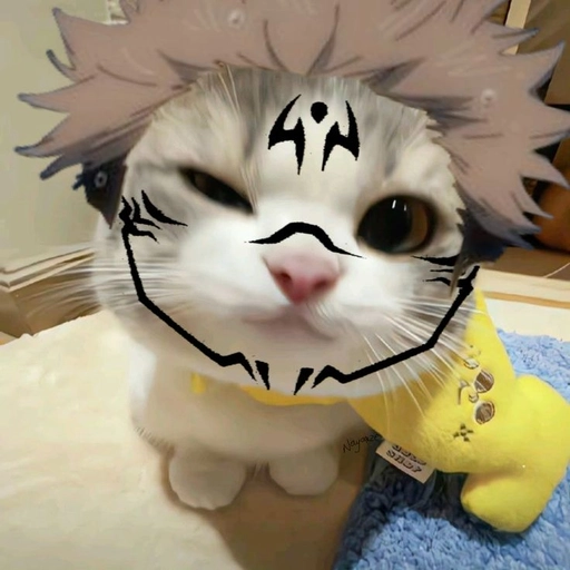 anime pfp funny expression