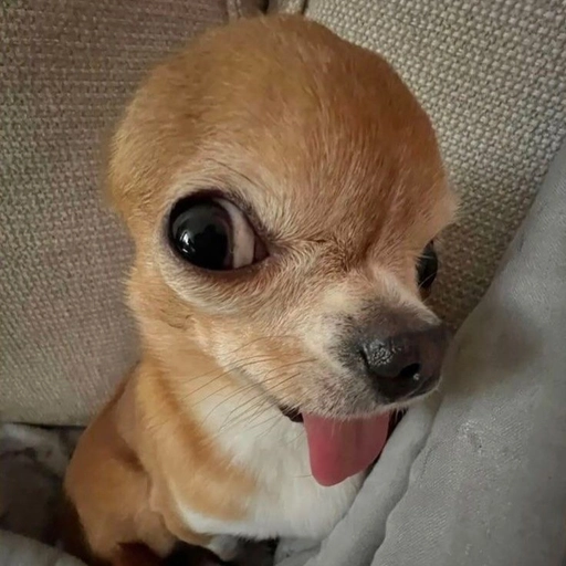 goofy anime pfp artwork