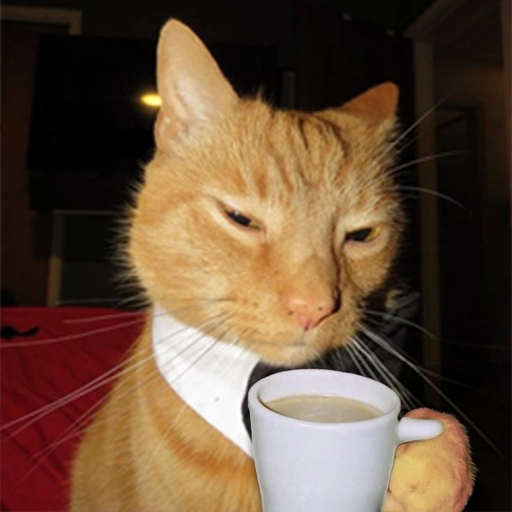 goofy cat pfp profile