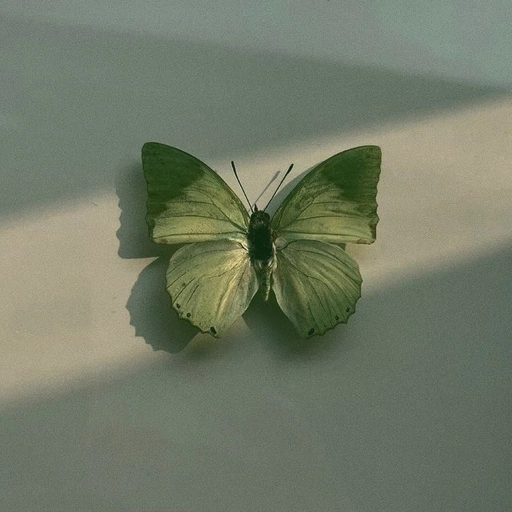 green aesthetic pfp wallpaper