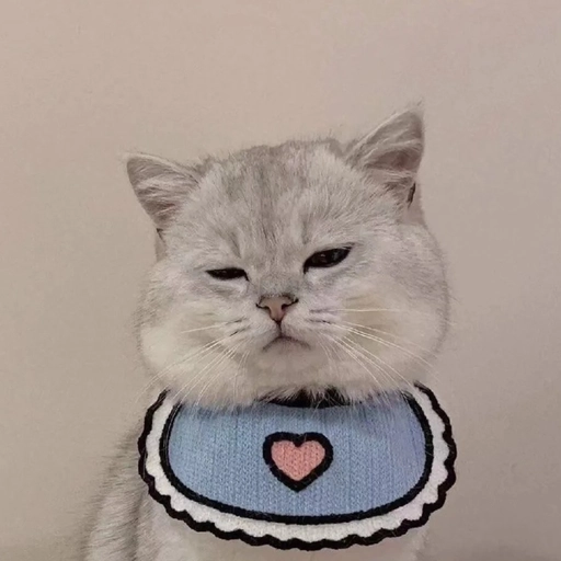 matching pfp animals 2026 