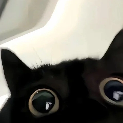 animal matching pfp for gaming 