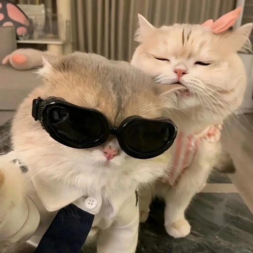 cute matching animal pfp 