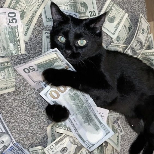 money spread pfp vibe