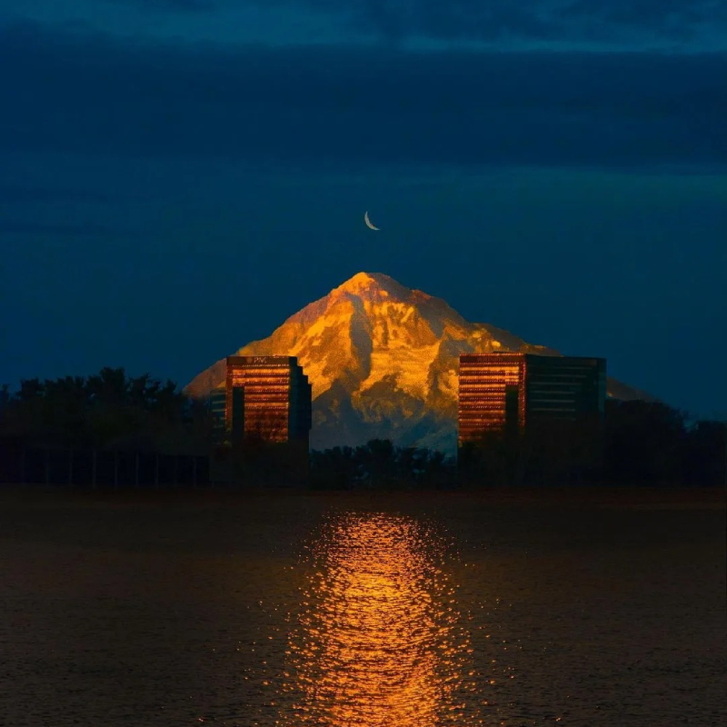 cool pfp aesthetic HD wallpaper