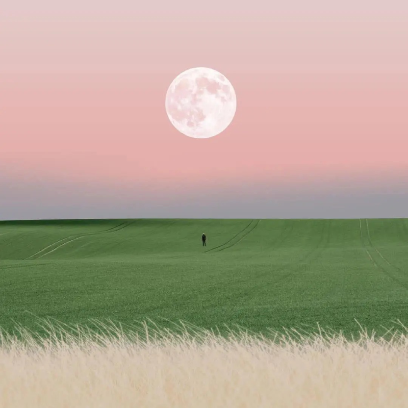 aesthetic pfp 4k HD image