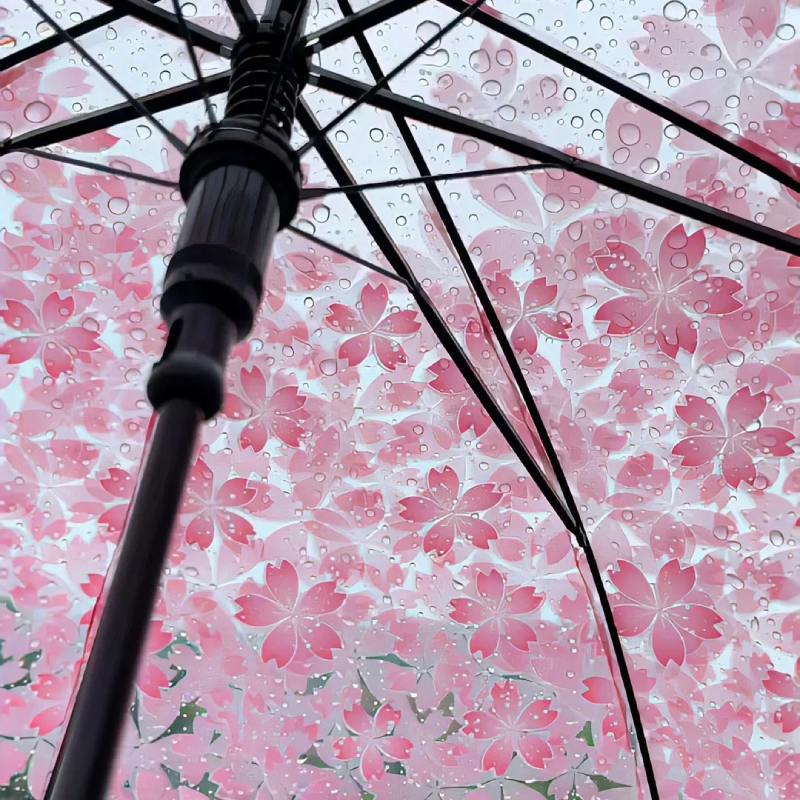 pastel aesthetic pink pfp with soft tone