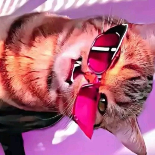 purple pfp cat profile