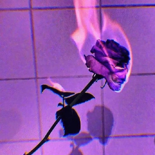 purple pfp background design