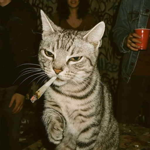 aesthetic tuff pfp for instagram