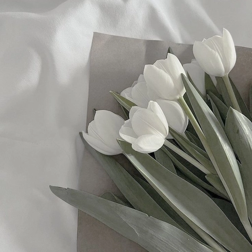 snow white aesthetic pfp icon