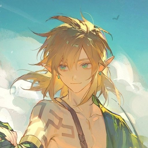 legend of zelda matching pfp duo