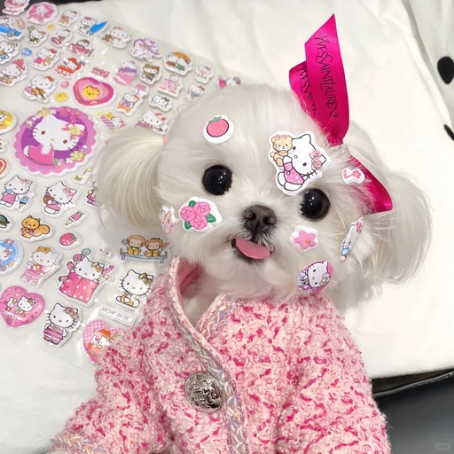 pfp aesthetic dog photos