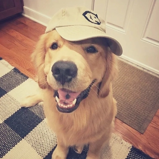 aesthetic cartoon dog pfp