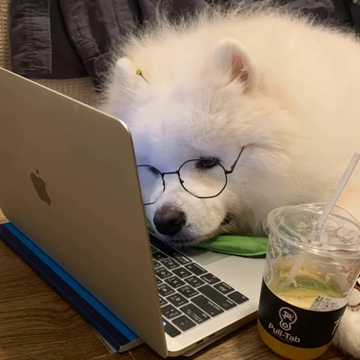 funny dog meme pfp aesthetic