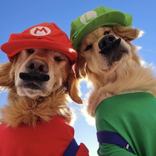 aesthetic dogs profile pictures