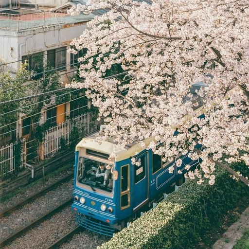 japanese pfp cool aesthetic