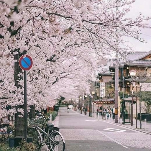 japanese aesthetic pfp anime look