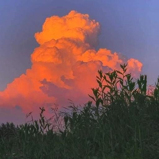 aesthetic sky wallpaper pfp