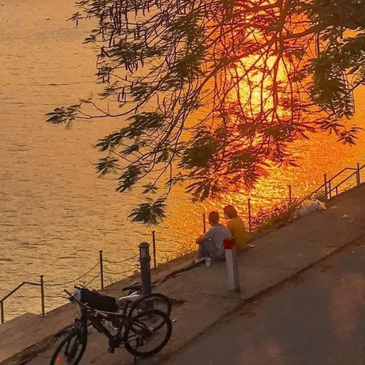 cute aesthetic pfp sunset