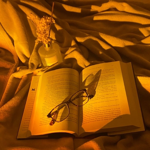 sunset pfp girl aesthetic