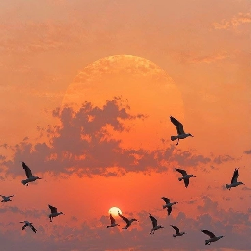 beautiful sunset aesthetic pfp